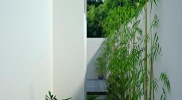 Thiết kế sân vườn biệt thự Phương nam