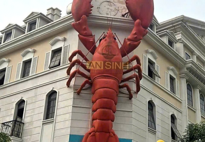 Mô Hình Tôm Hùm 